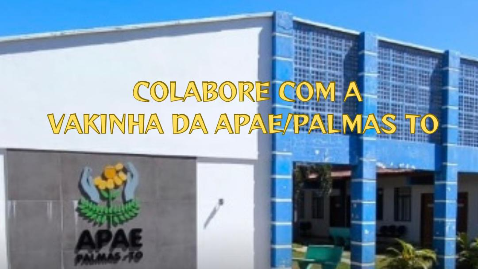 VAKINHA BENFEITORIAS APAE DE PALMAS