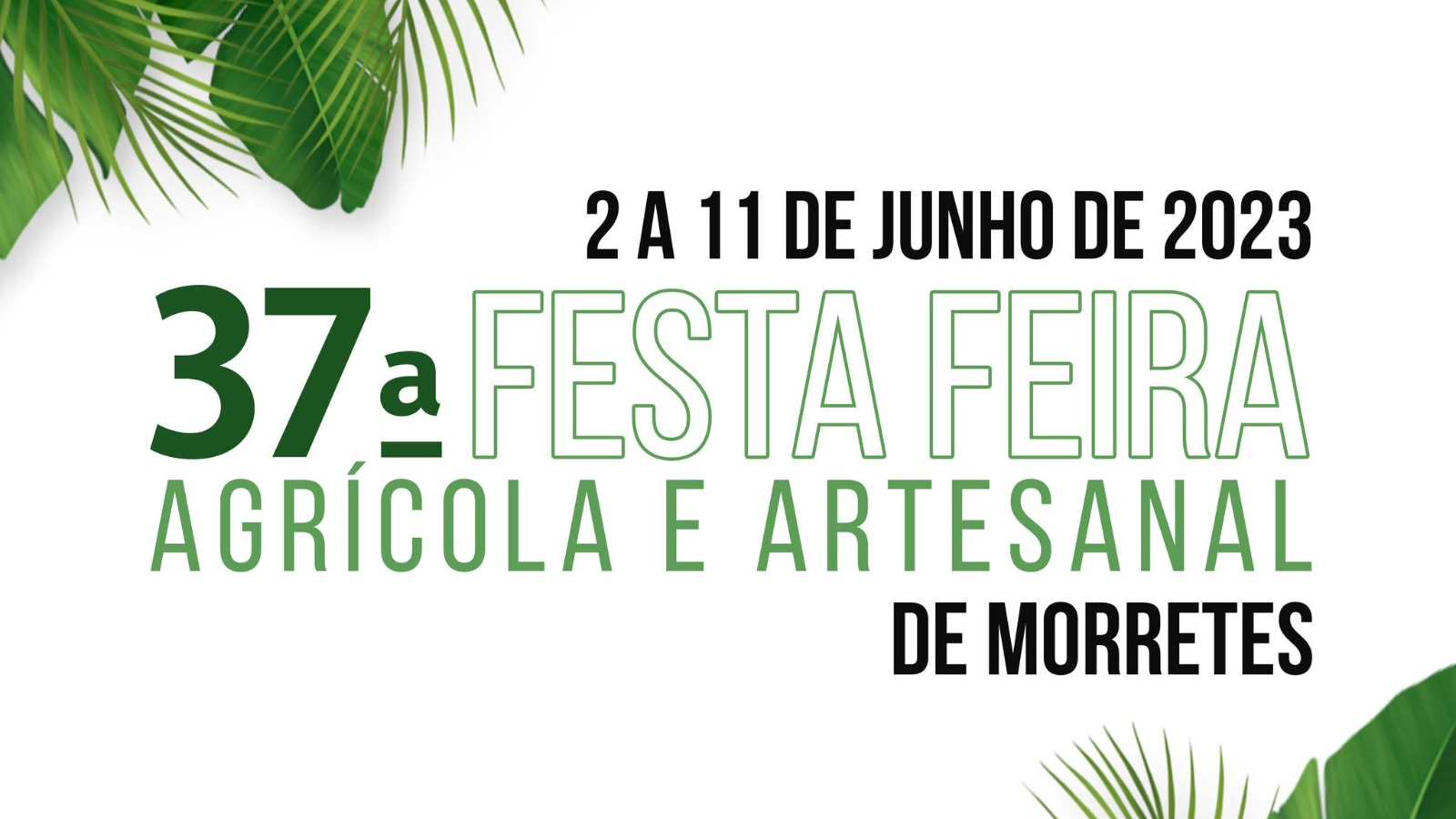 APAE NA FESTA FEIRA