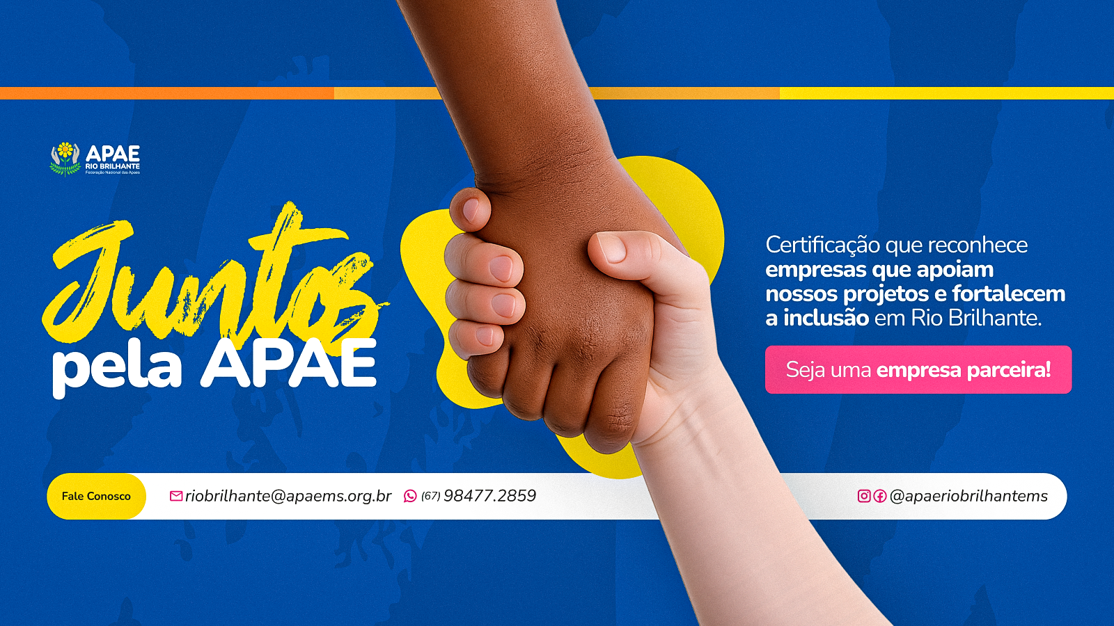 PROGRAMA JUNTOS PELA APAE