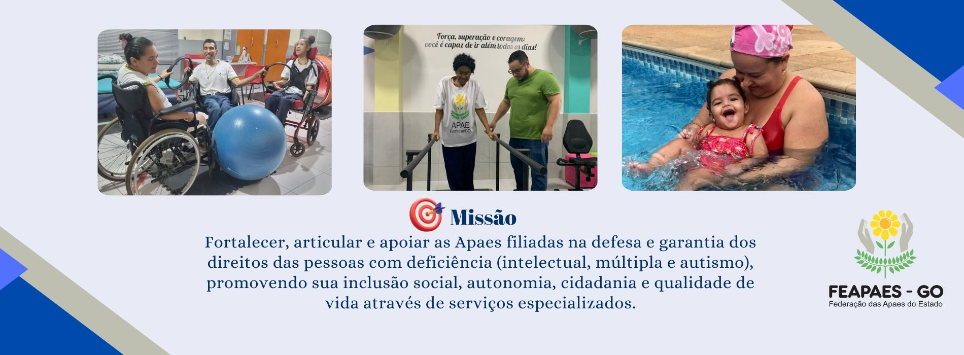 Associacao de Pais e Amigos dos Excepcionais de Bom Jesus