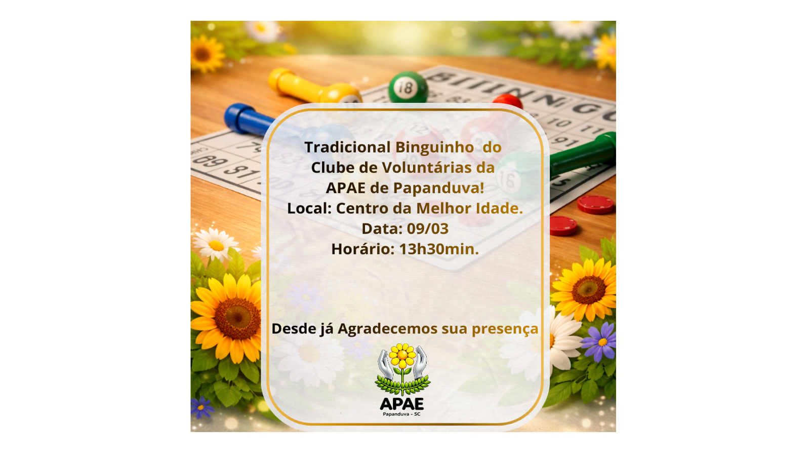 Binguinho do clube de voluntárias da Apae Papanduva, venha passar uma tarde divertida conosco!